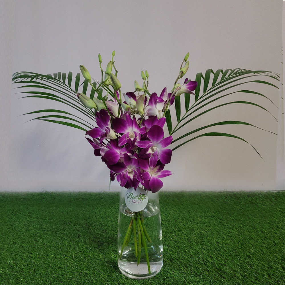 Orchid_Wings_Best_Flowers_IIWII_1