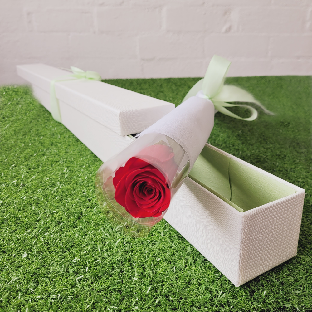 Roses_Giftbox_Single_Best_Flowers_IIWII_2